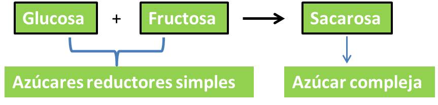 Algunos Aspectos Sobre La Producci N De Sacarosa En El Cultivo De La